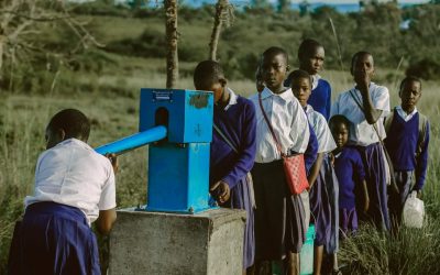 Water Bores for Tanzania Project (Including Rotary Global Grant Application)